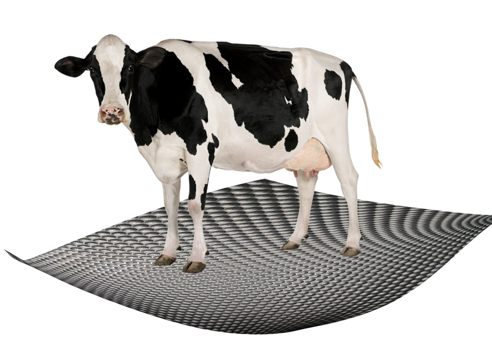 cow mats