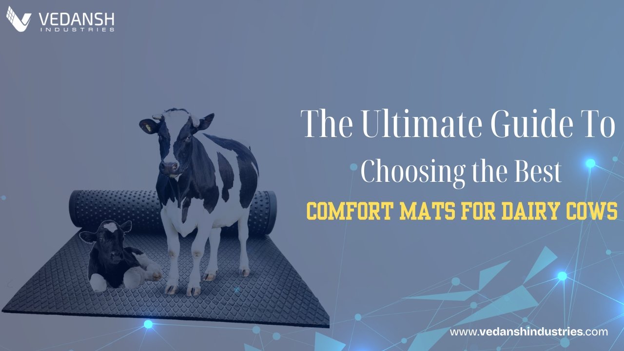 Comfort mats for dairy cows