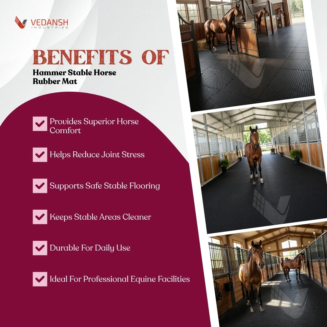 horse rubber mat